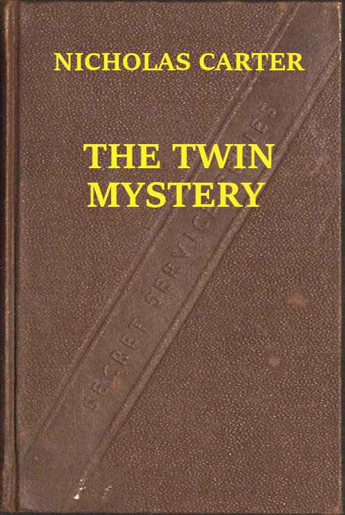 The Twin Mystery; Or, A Dashing Rescue cover