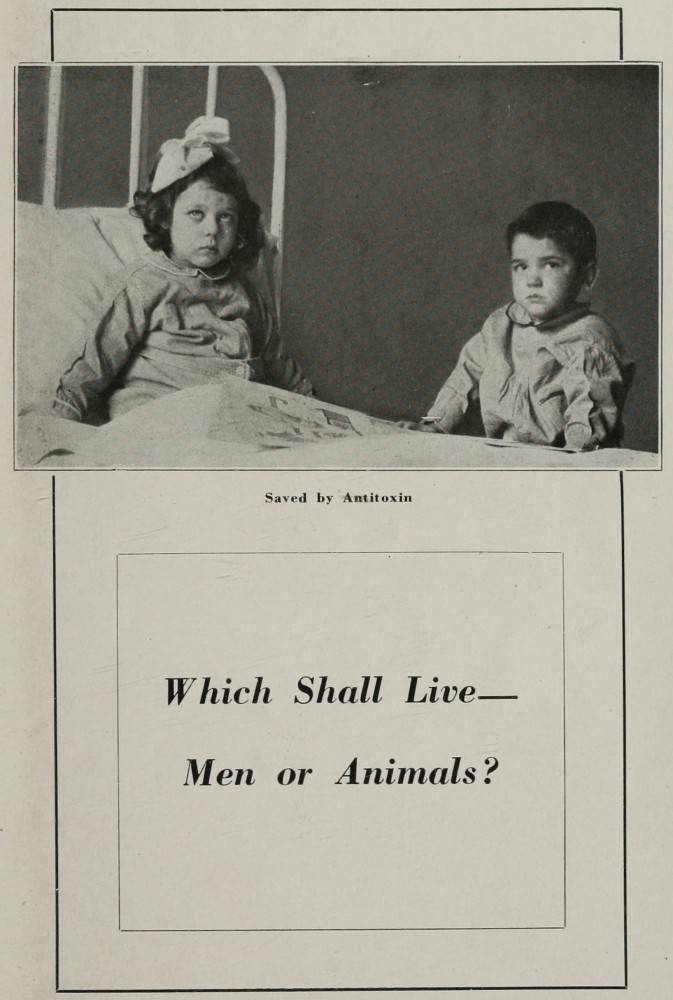 Which Shall Live—Men or Animals? cover