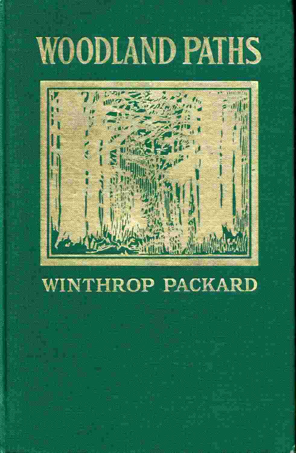 Woodland Paths cover