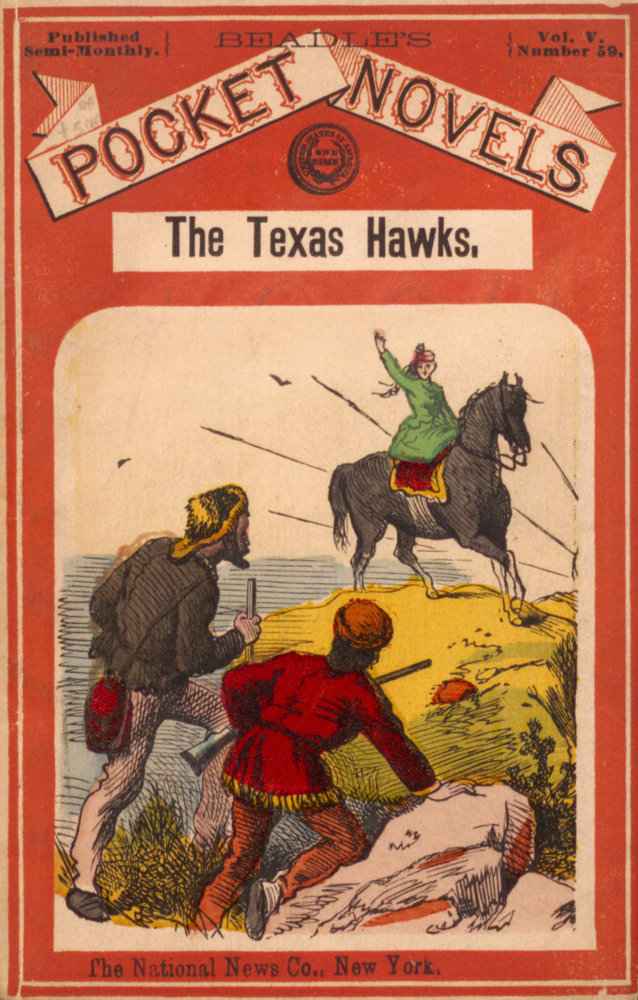 The Texas Hawks; or, The Strange Decoy cover