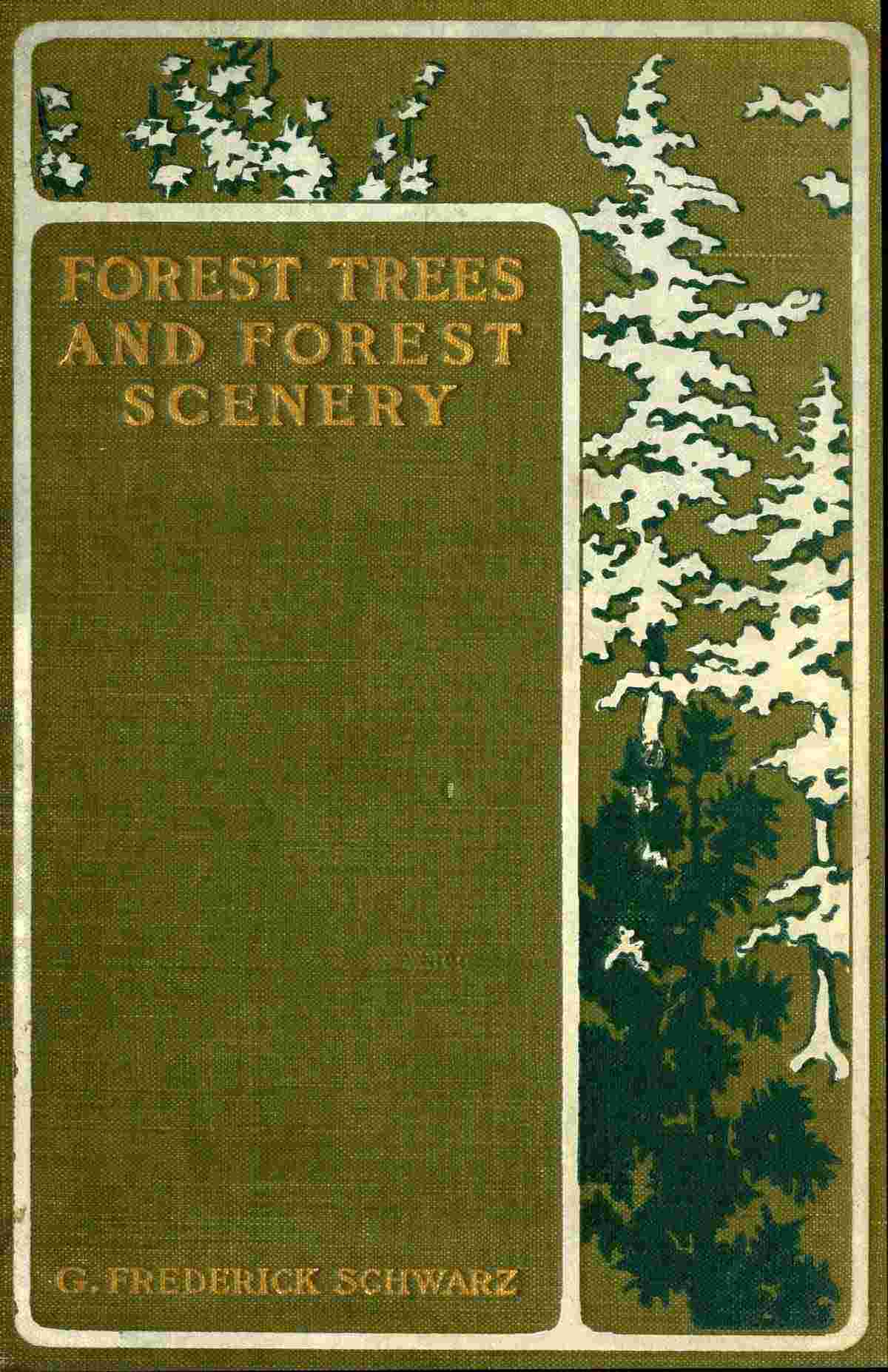 Forest Trees and Forest Scenery cover