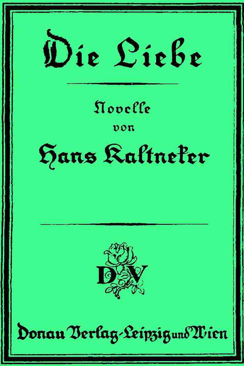 Die Liebe: Novelle cover
