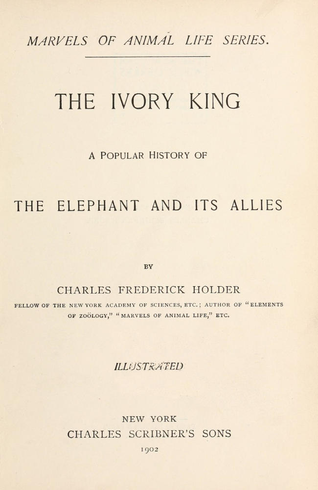 The ivory king cover