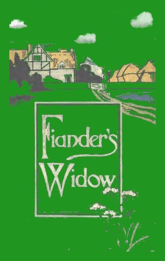 Fiander's Widow: A Novel cover