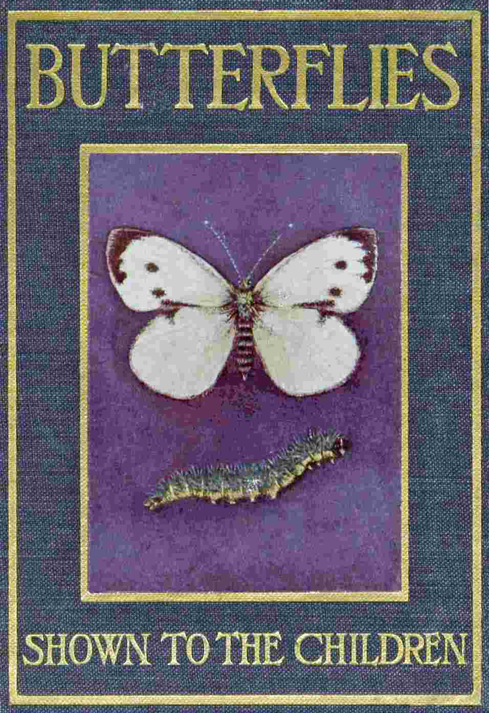 Butterflies and Moths, Shown to the Children cover