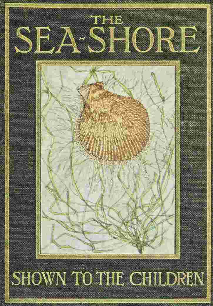 The Sea-Shore, Shown to the Children cover