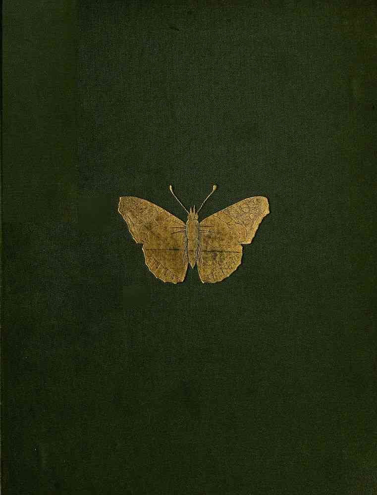 The Butterflies and Moths of Teneriffe cover