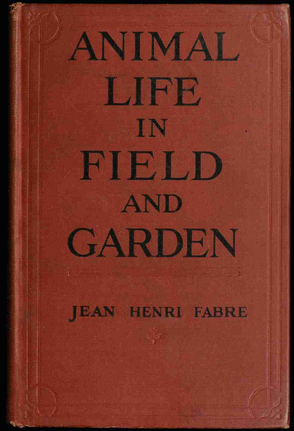 Animal Life in Field and Garden cover