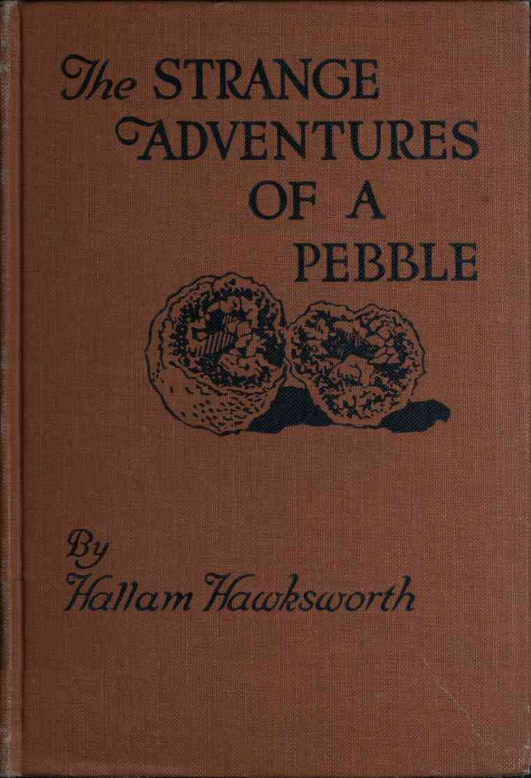 The Strange Adventures of a Pebble cover