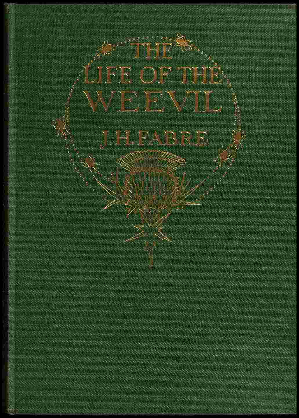 The Life of the Weevil cover