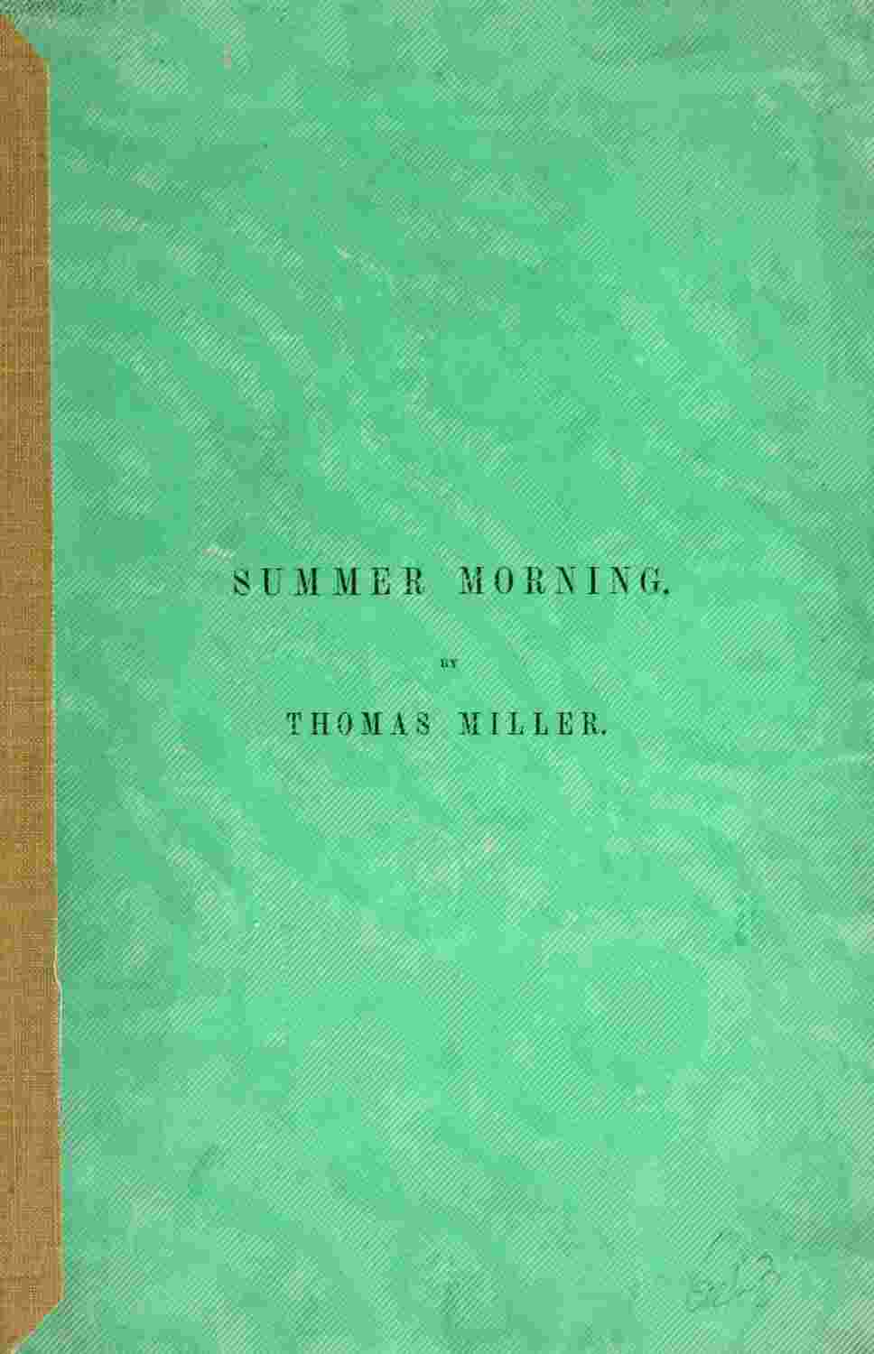 Summer Morning: A poem cover