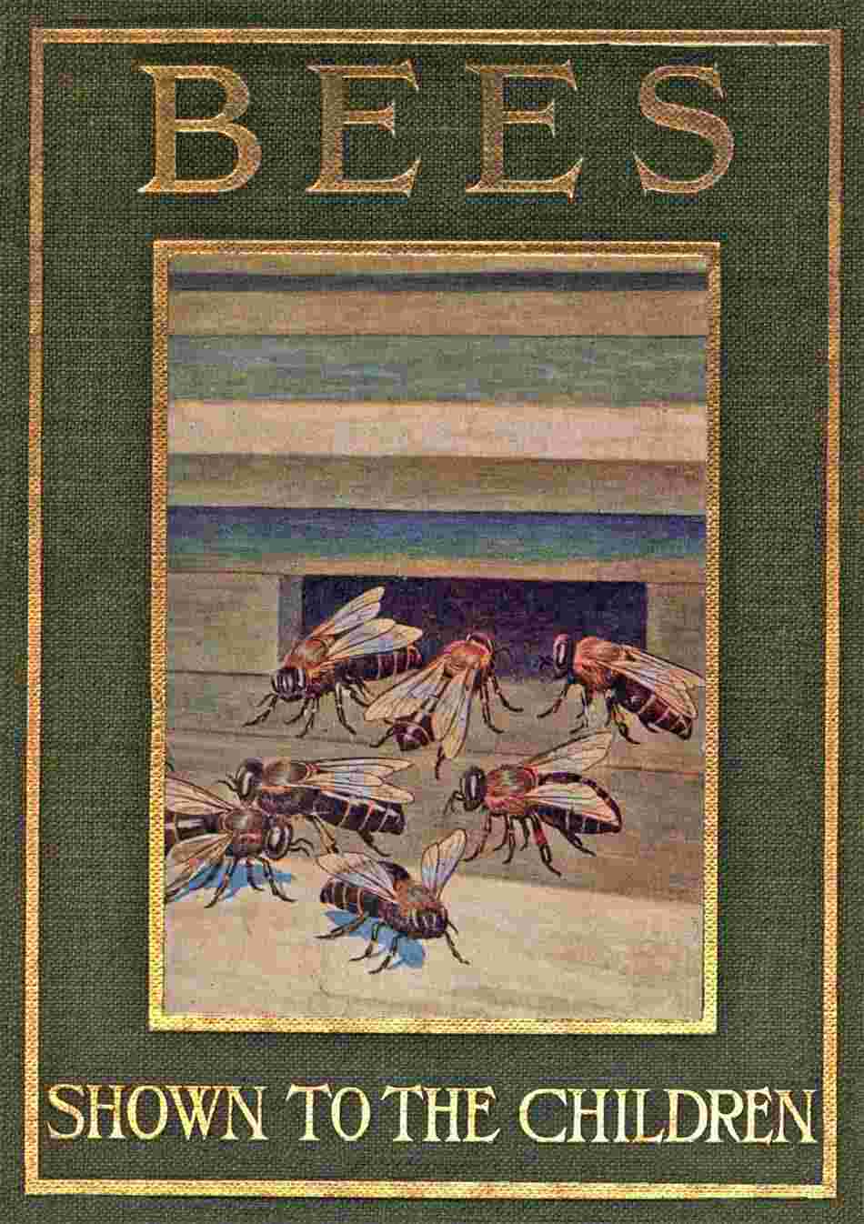 Bees, Shown to the Children cover