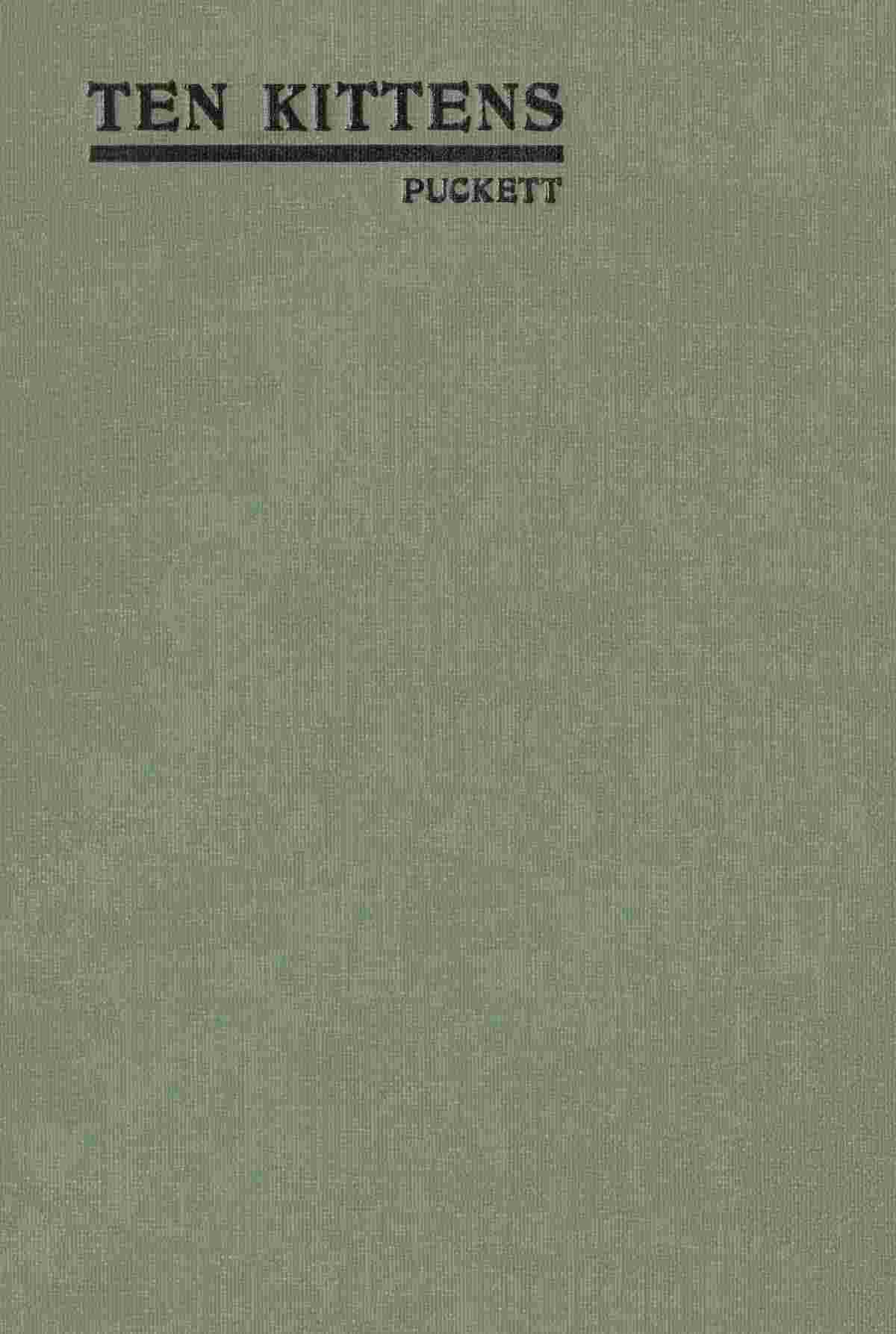 Ten Kittens cover