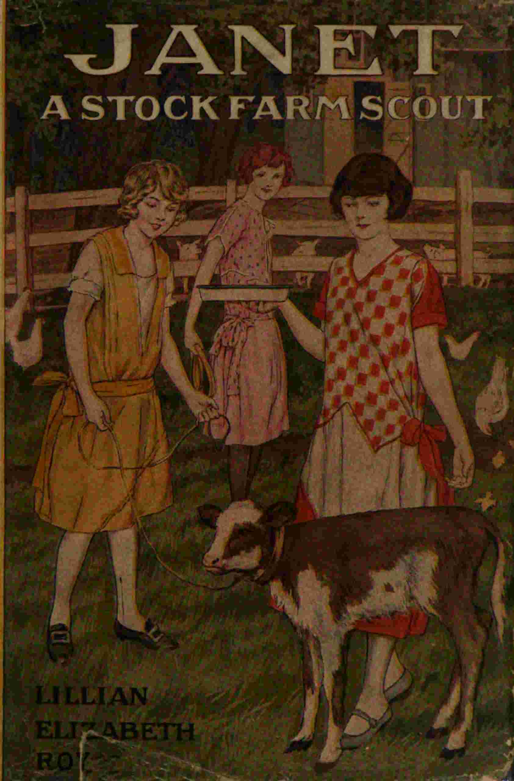 Janet: A Stock-Farm Scout cover