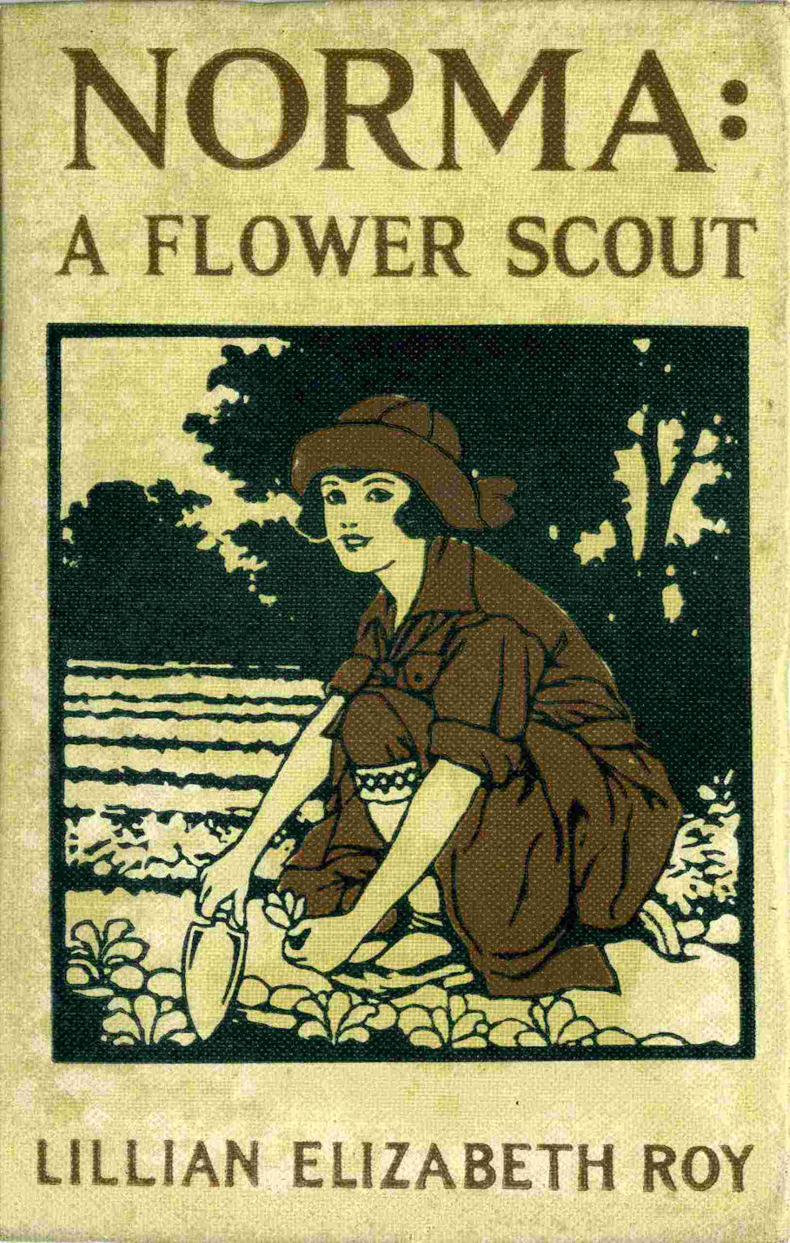 Norma: A Flower Scout cover