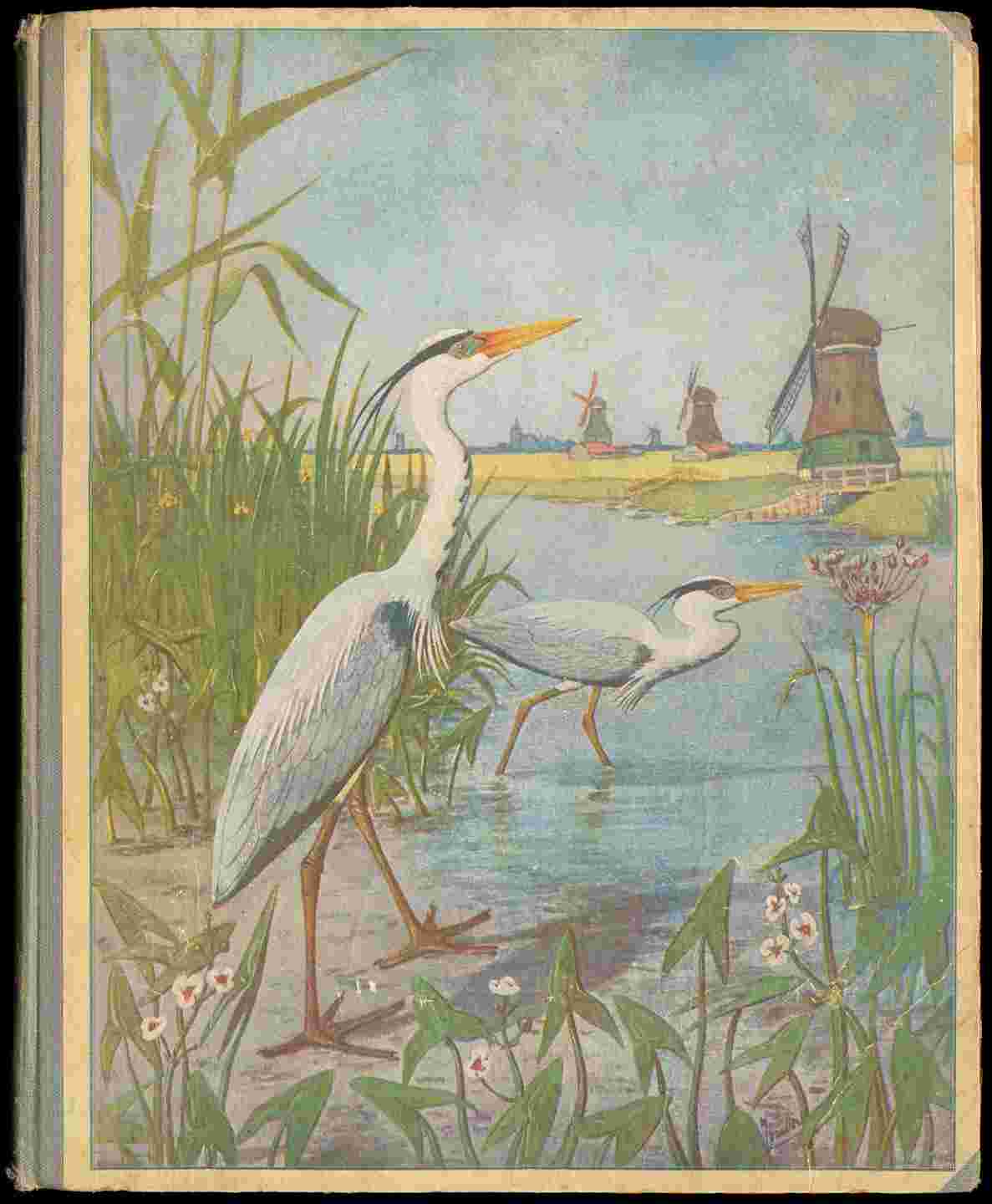 Lente cover