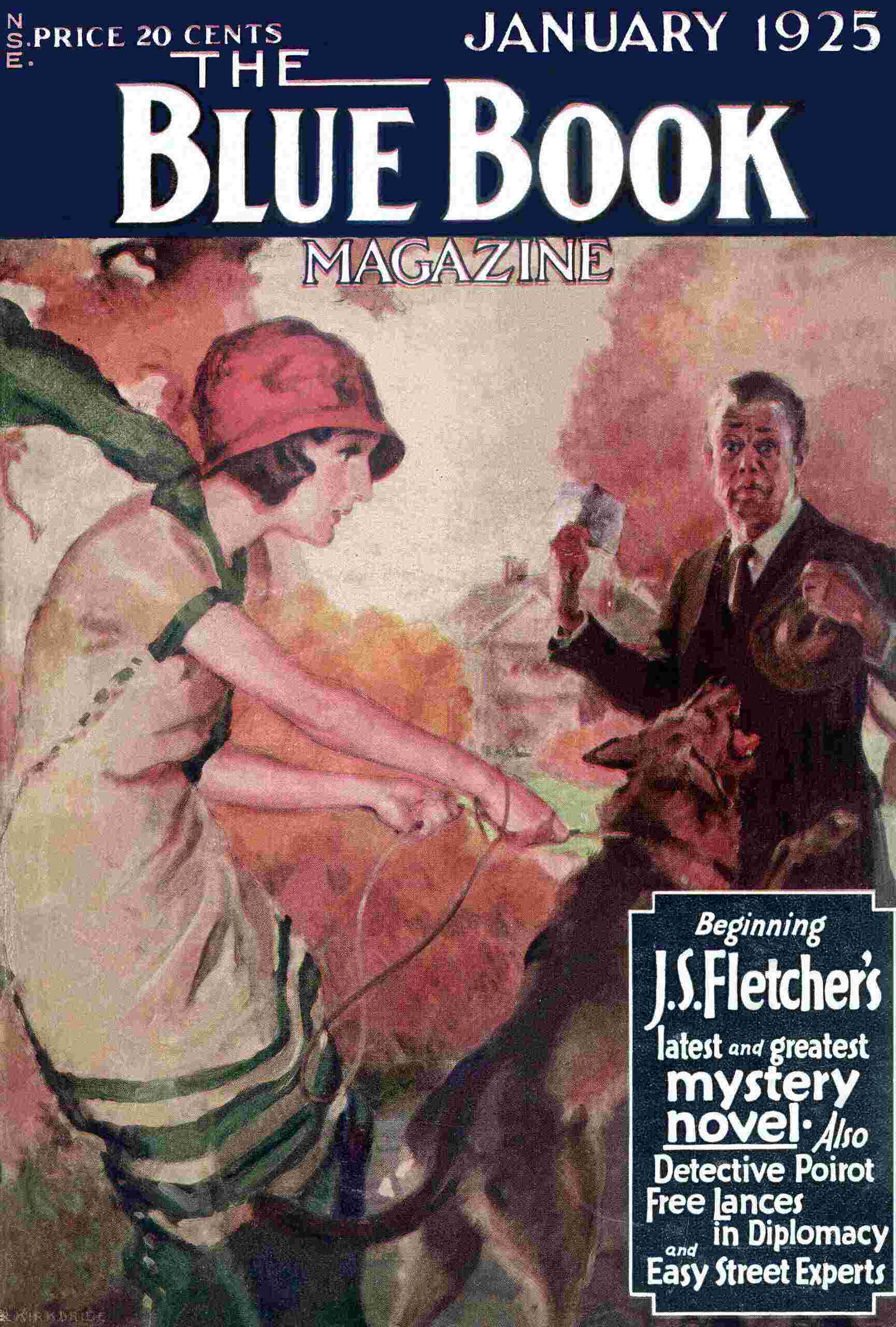 The Missing Will cover