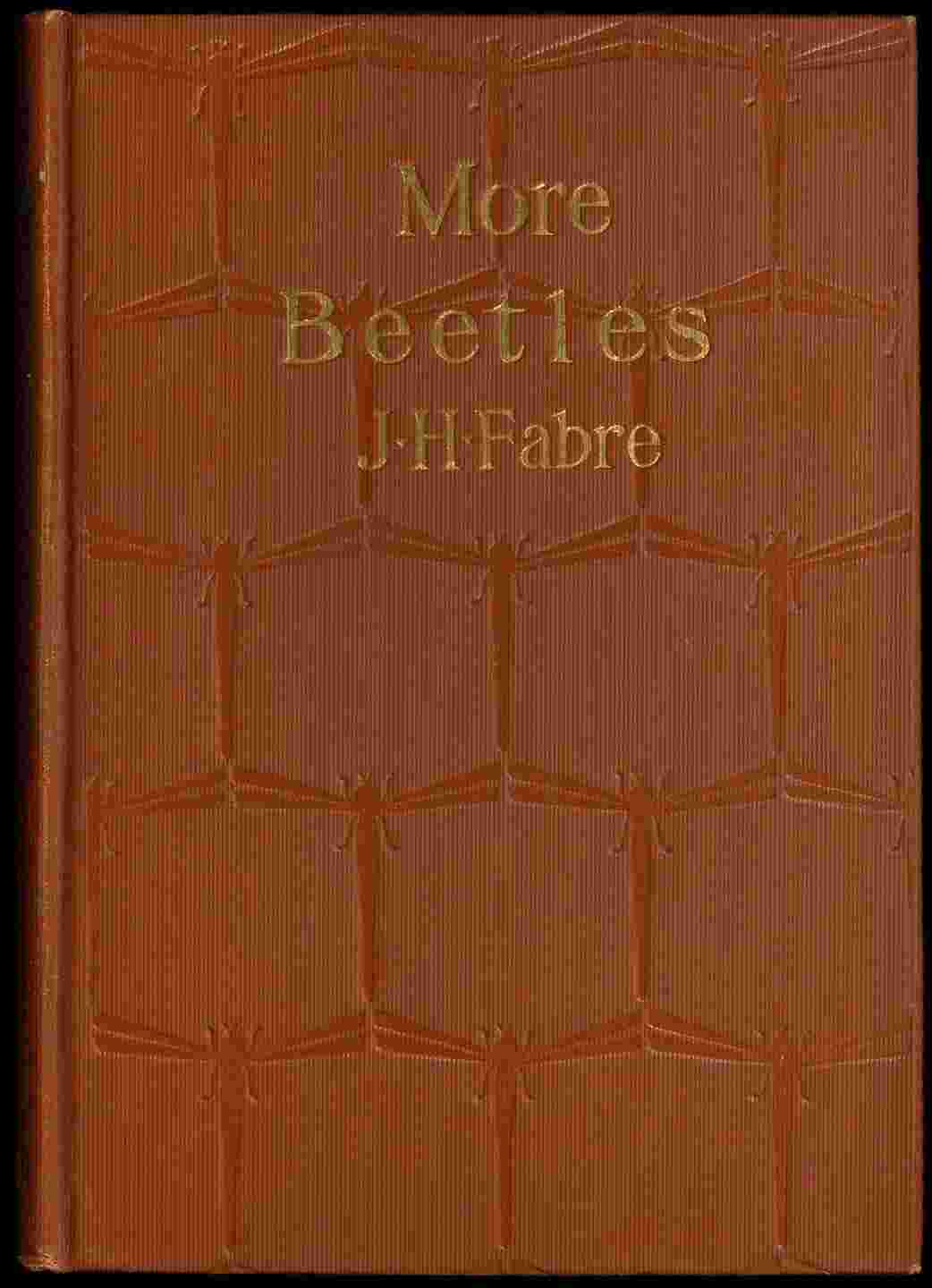 More Beetles cover