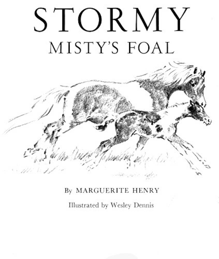 Stormy, Misty's Foal cover