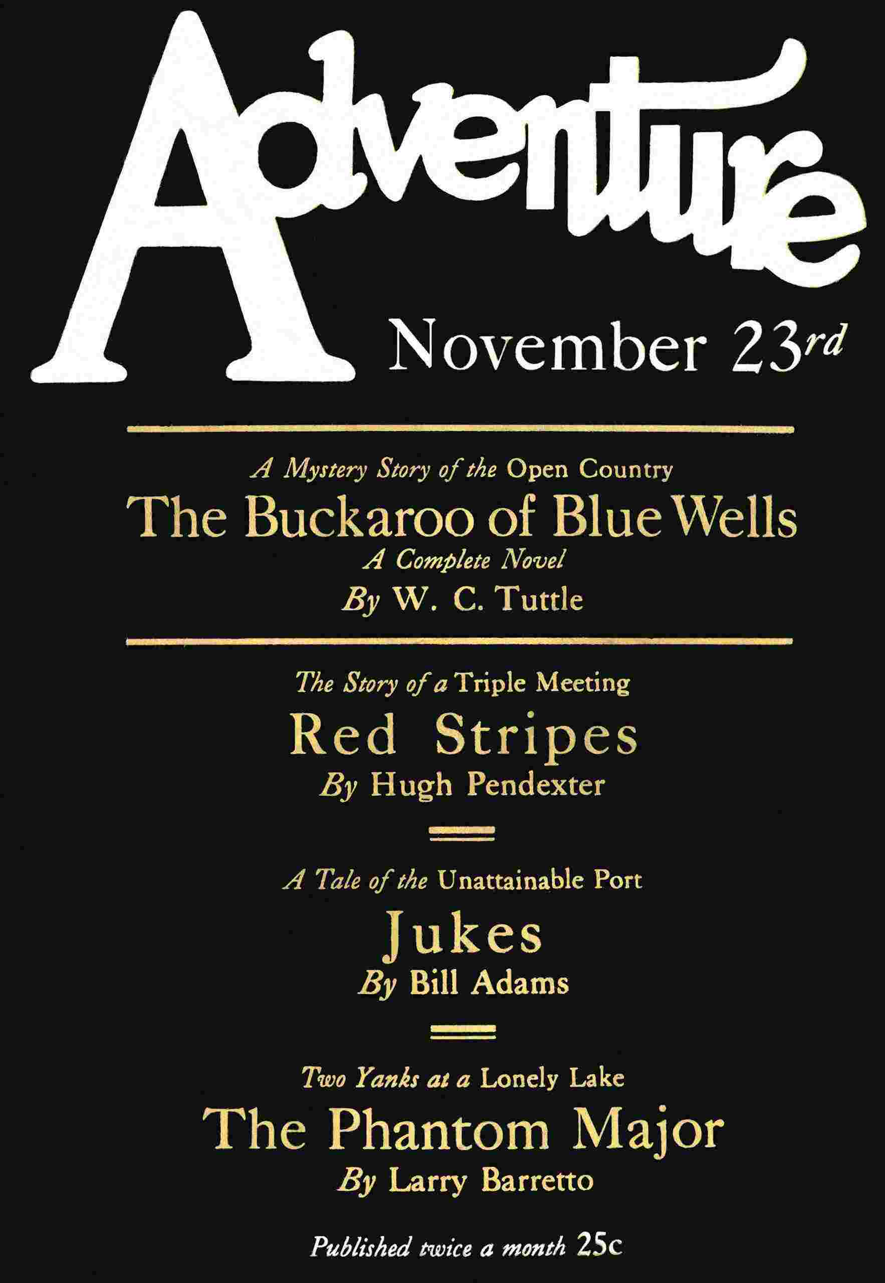 The Buckaroo of Blue Wells cover