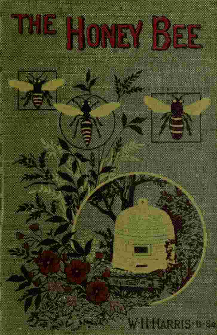 The honey-bee: its nature, homes and products cover