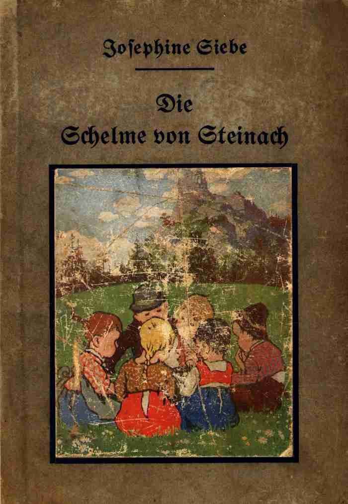 Die Schelme von Steinach: Erzählung für die Jugend cover