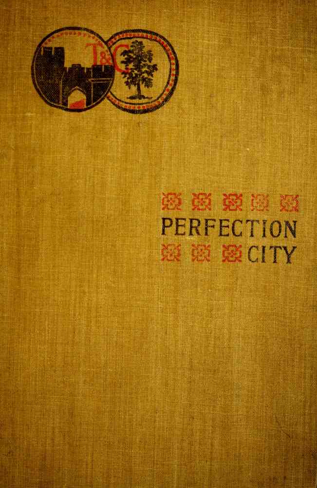 Perfection City cover