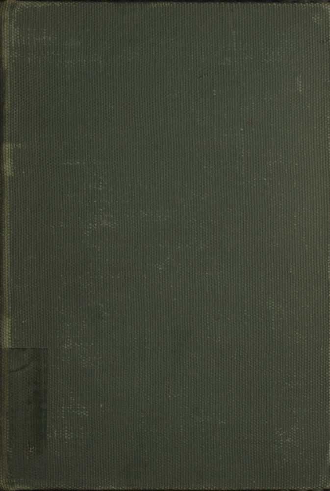 A Son of the Ages: The Reincarnations and Adventures of Scar, the Link / A Story of Man From the Beginning cover