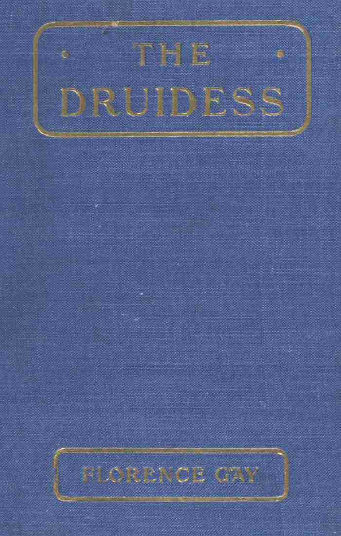 The Druidess: A Story for Boys and Others cover
