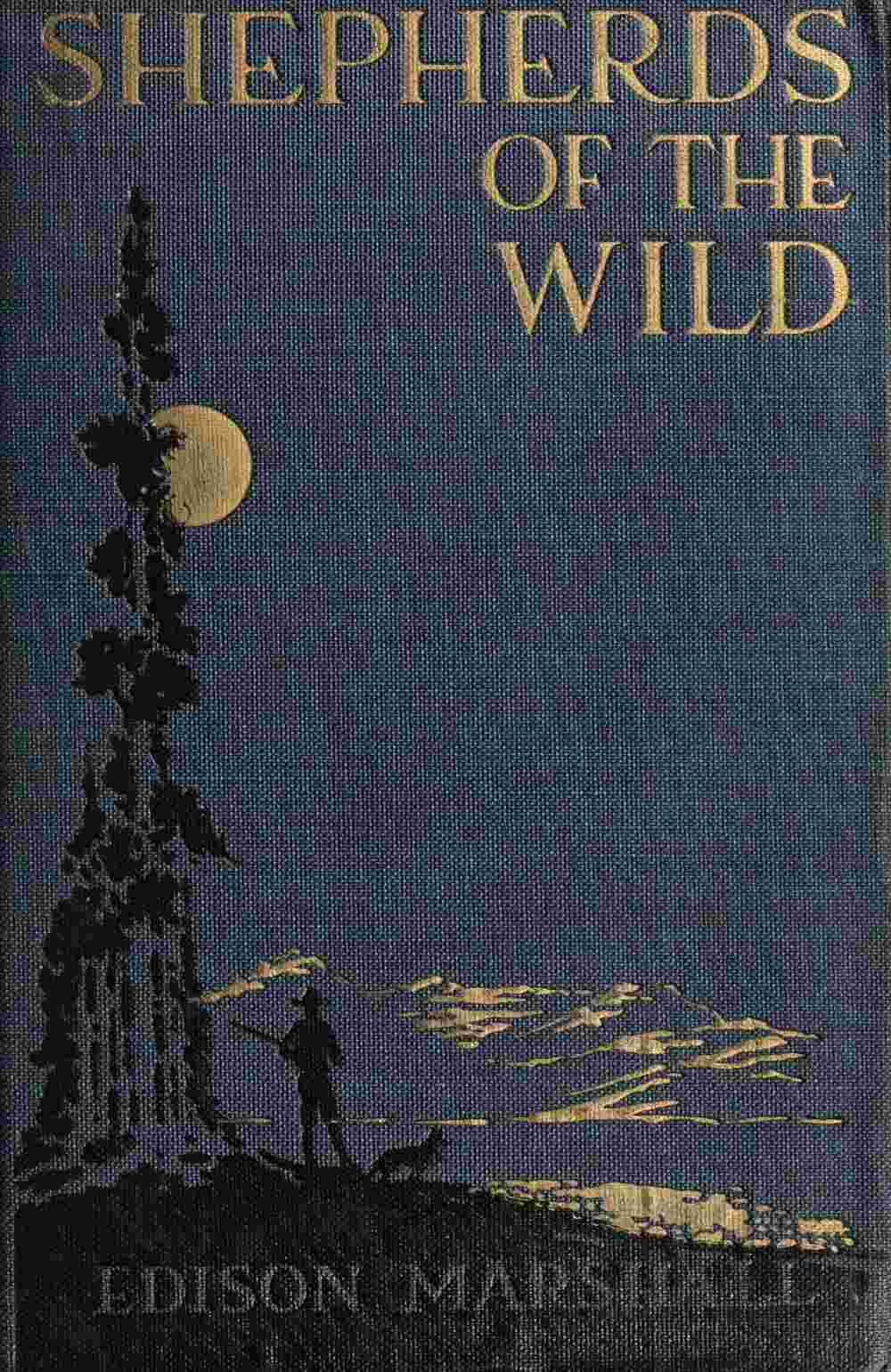 Shepherds of the Wild cover