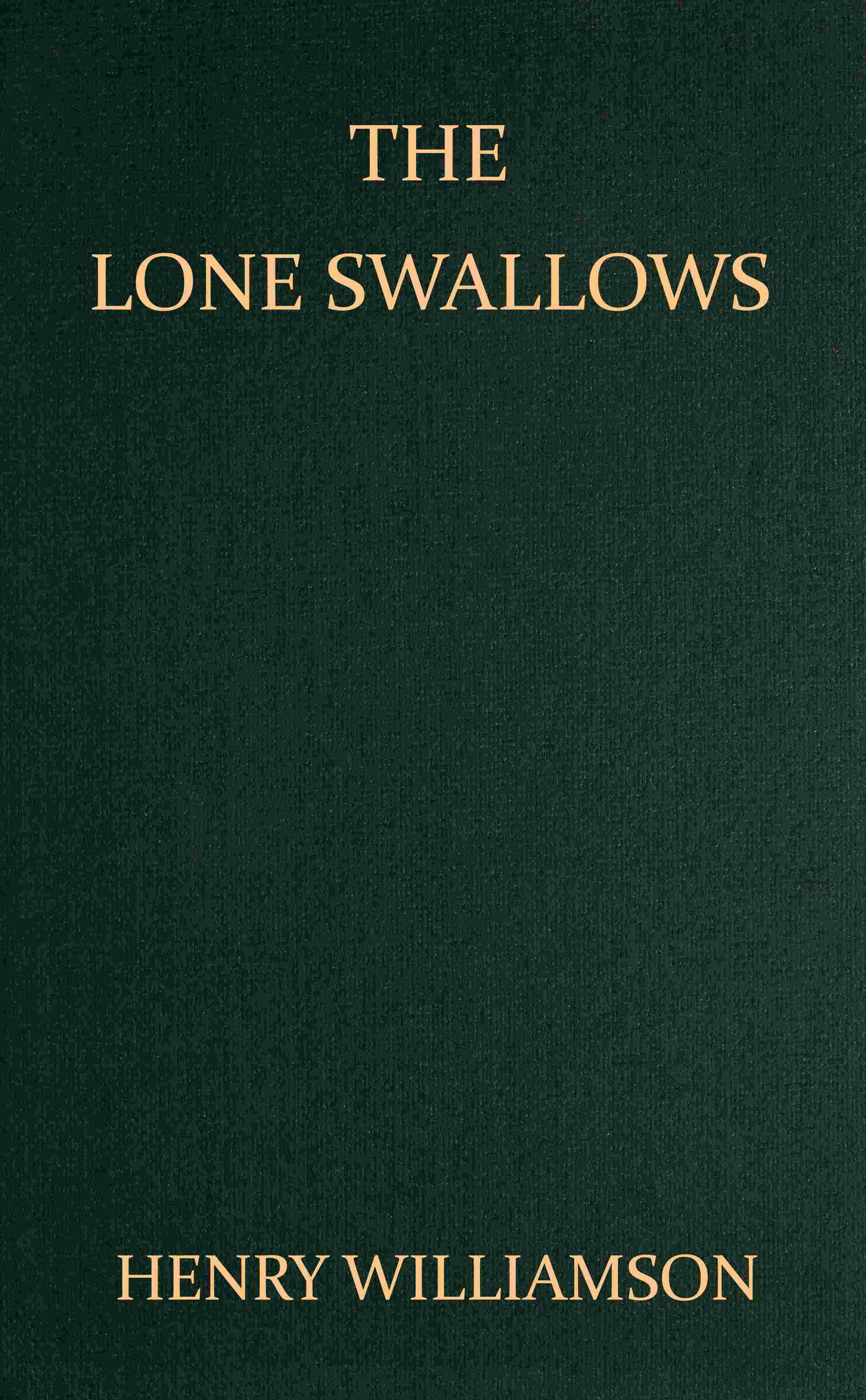 The lone swallows cover