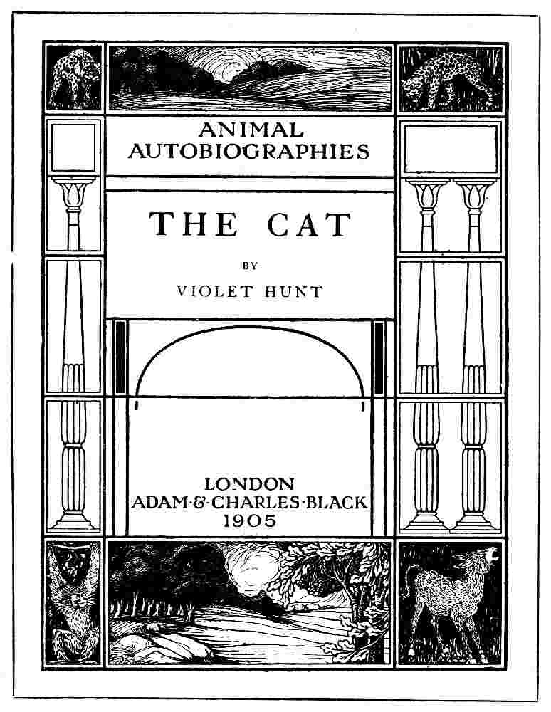 The Cat cover