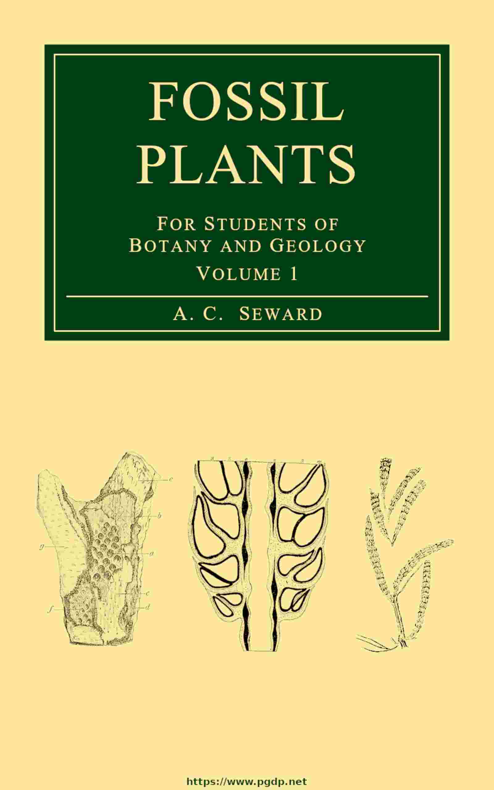 Fossil plants, Vol. 1 cover