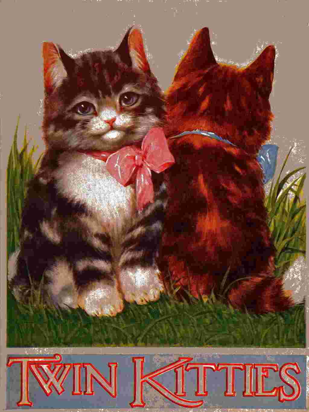 My twin kitties cover