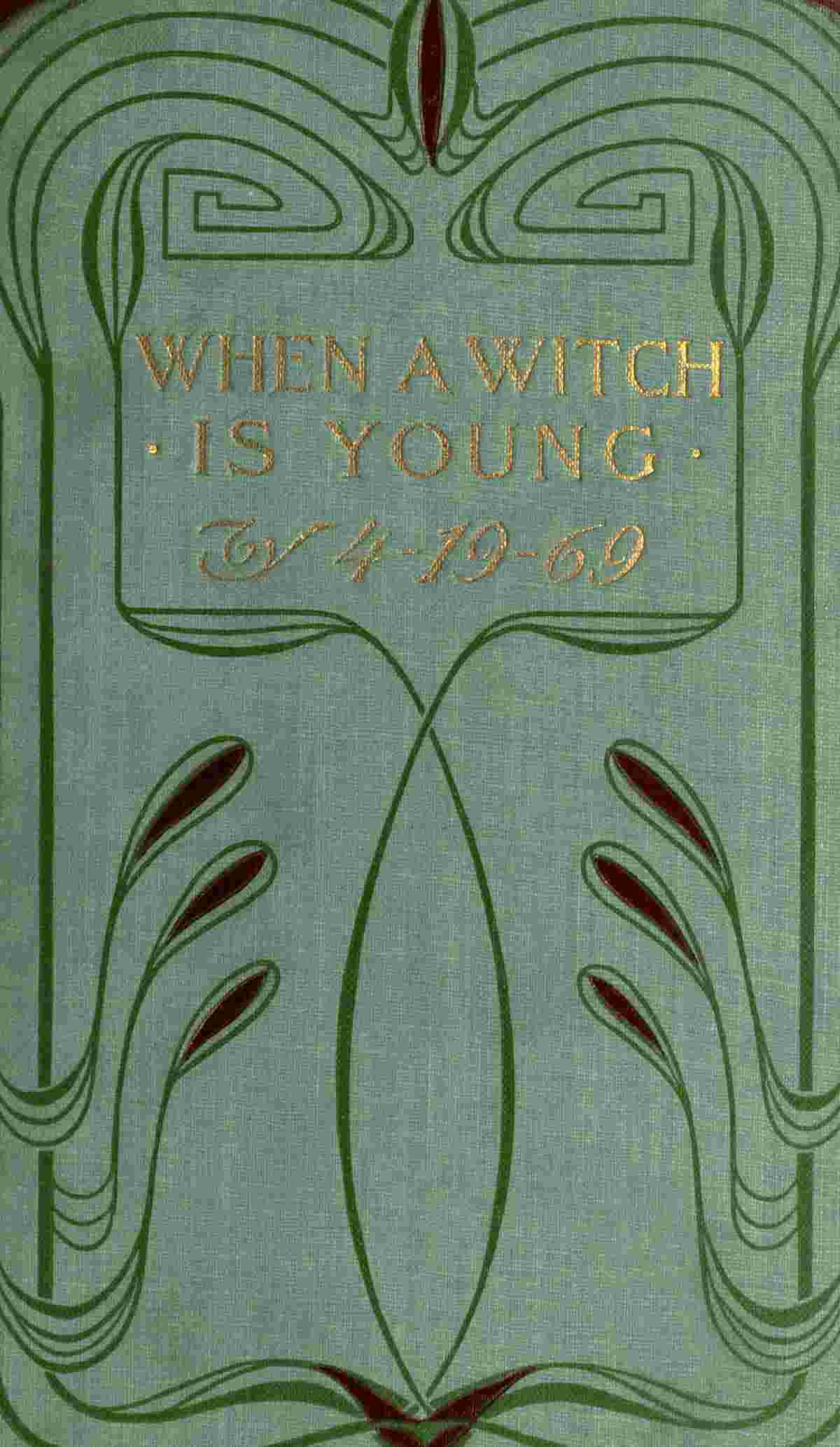 When a witch is young: a historical novel cover