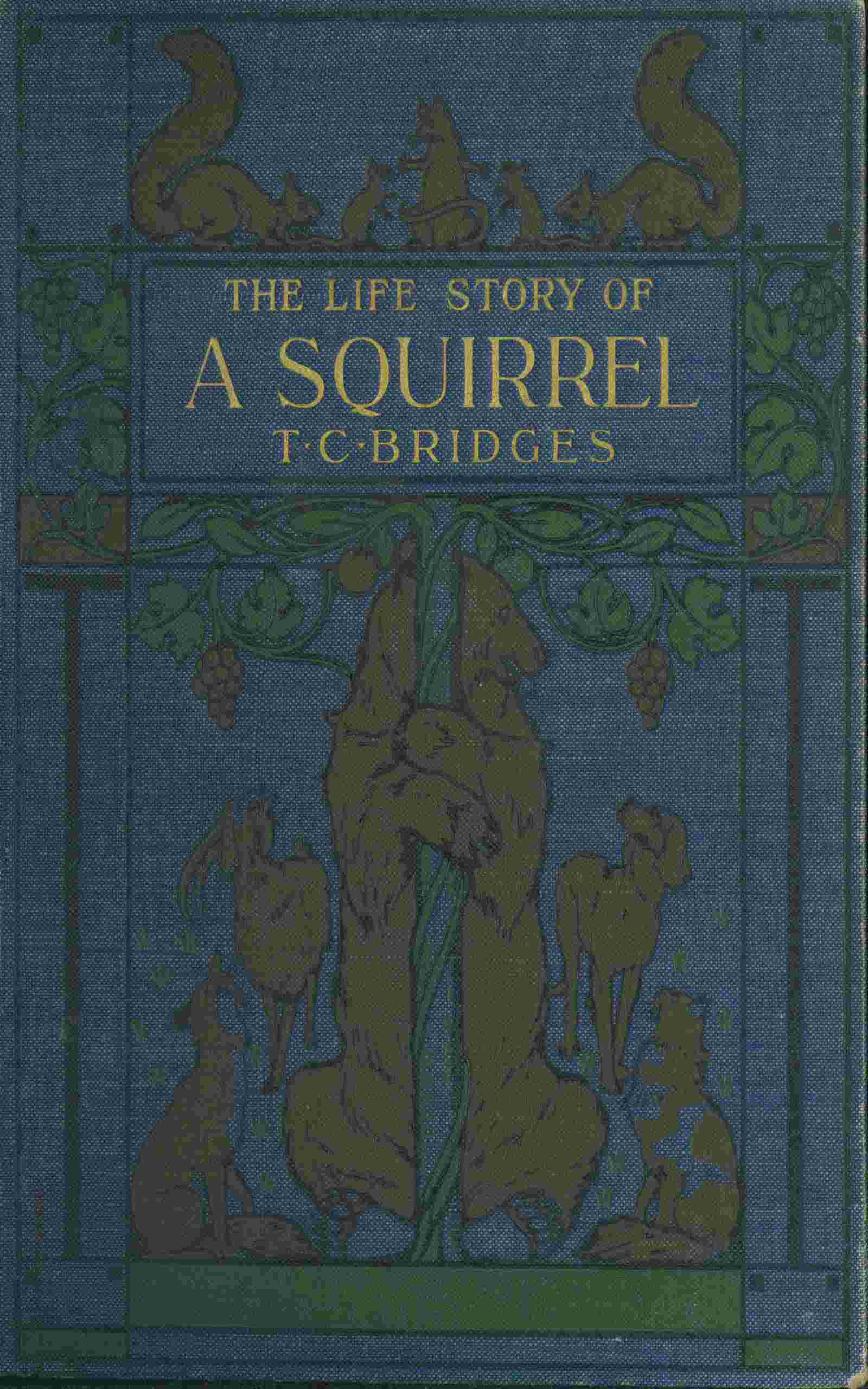 The life story of a squirrel cover