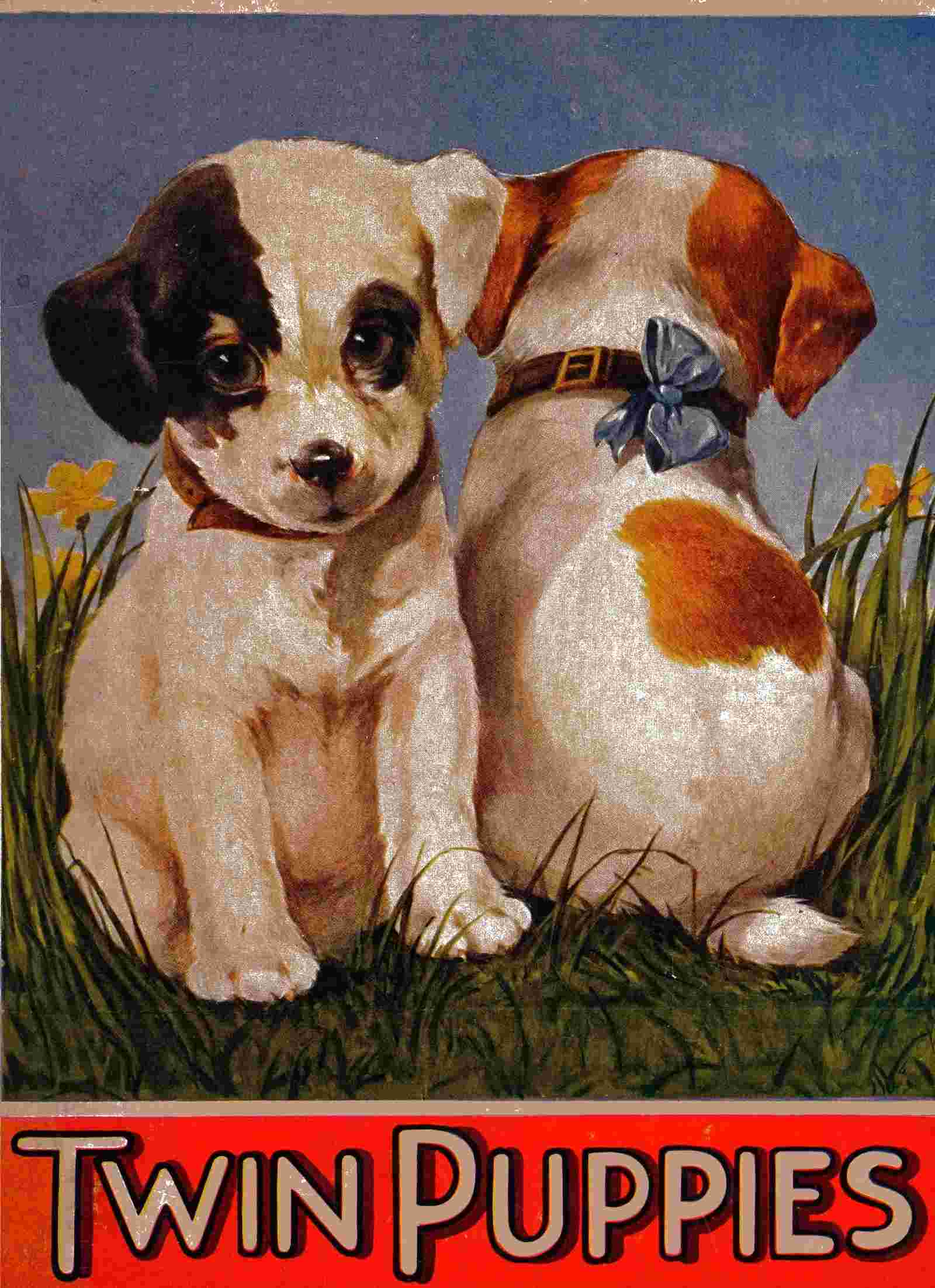 My twin puppies cover