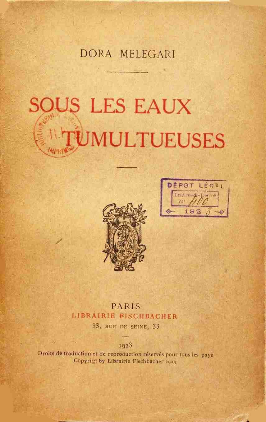 Sous les eaux tumultueuses cover
