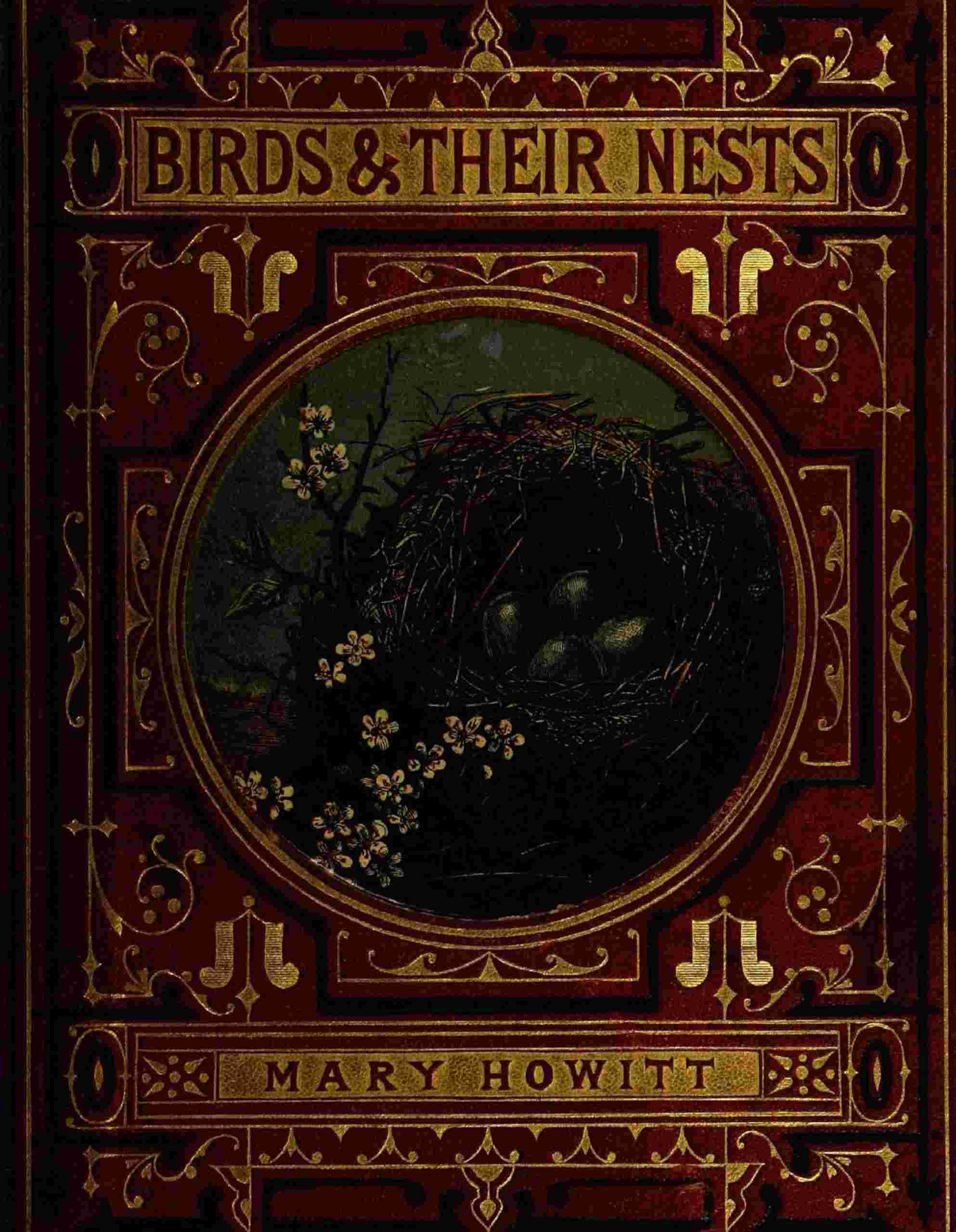 Birds and their nests cover