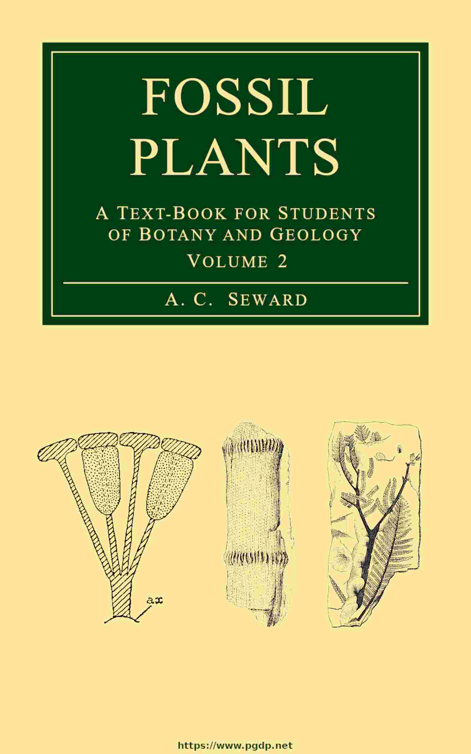 Fossil plants, Vol. 2 cover