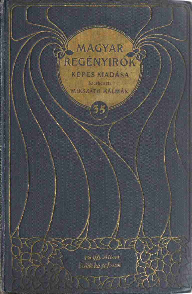 Esztike kisasszony professzora: Regény cover