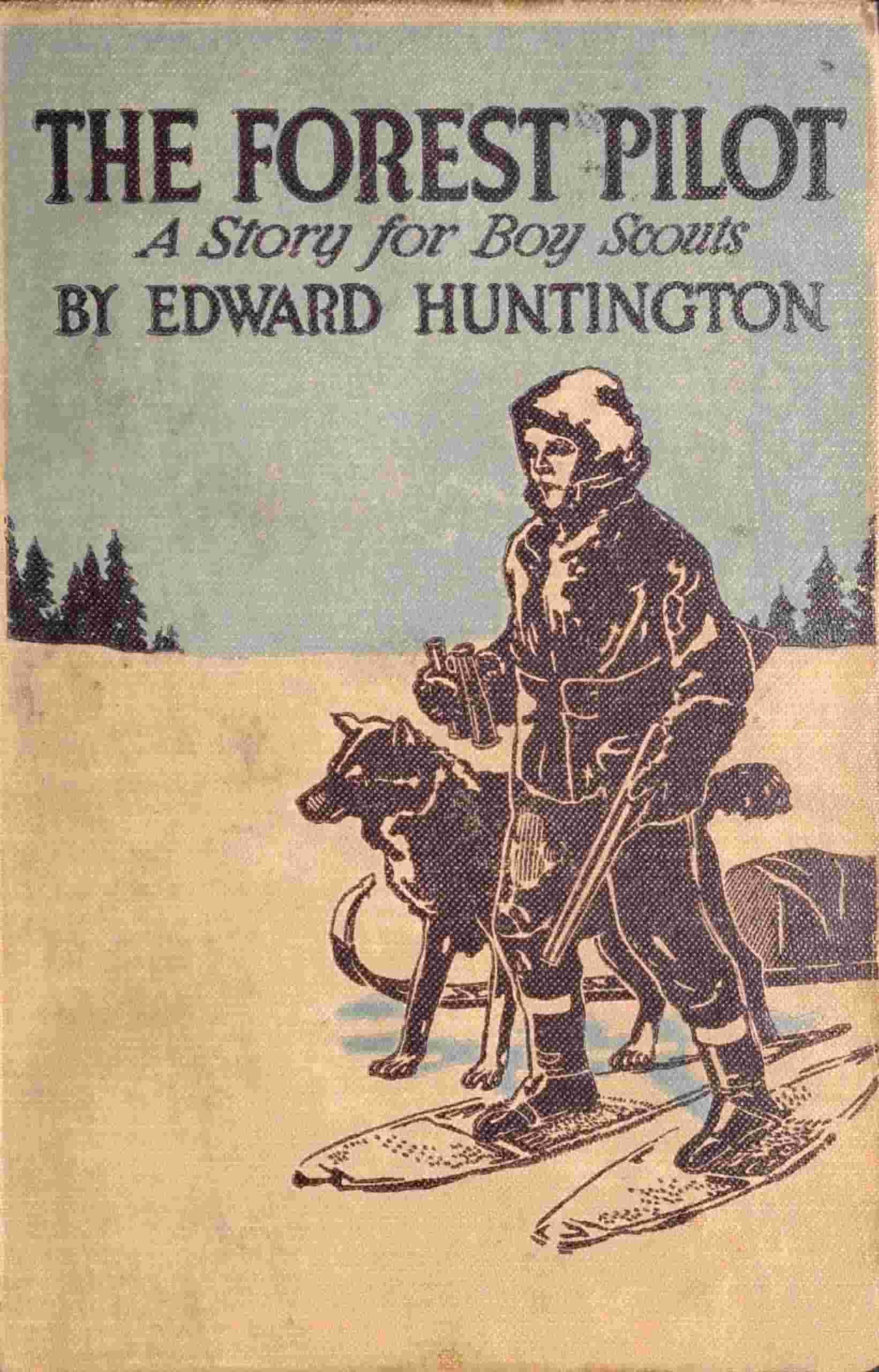 The Forest Pilot: A Story for Boy Scouts cover