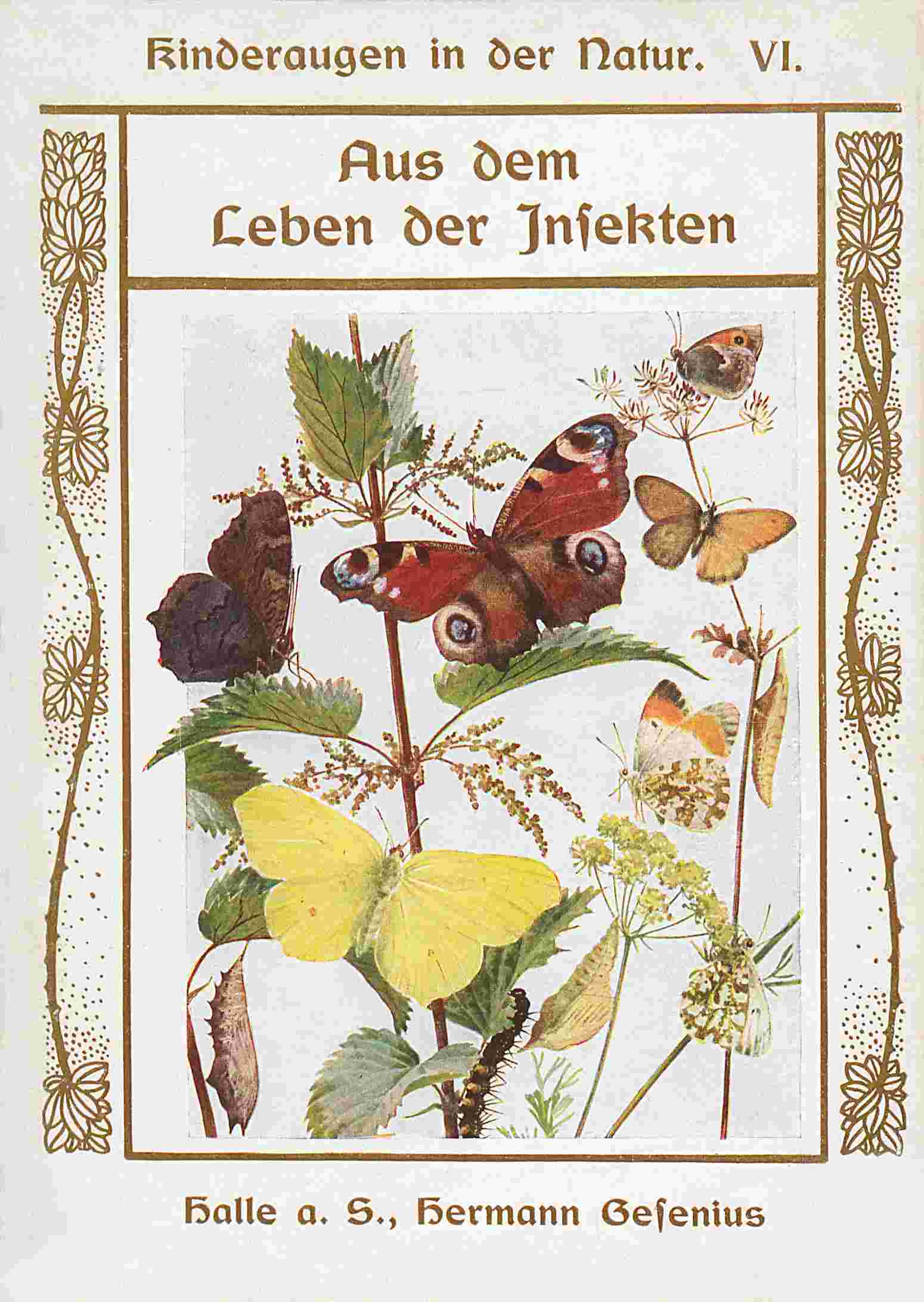 Aus dem Leben der Insekten cover