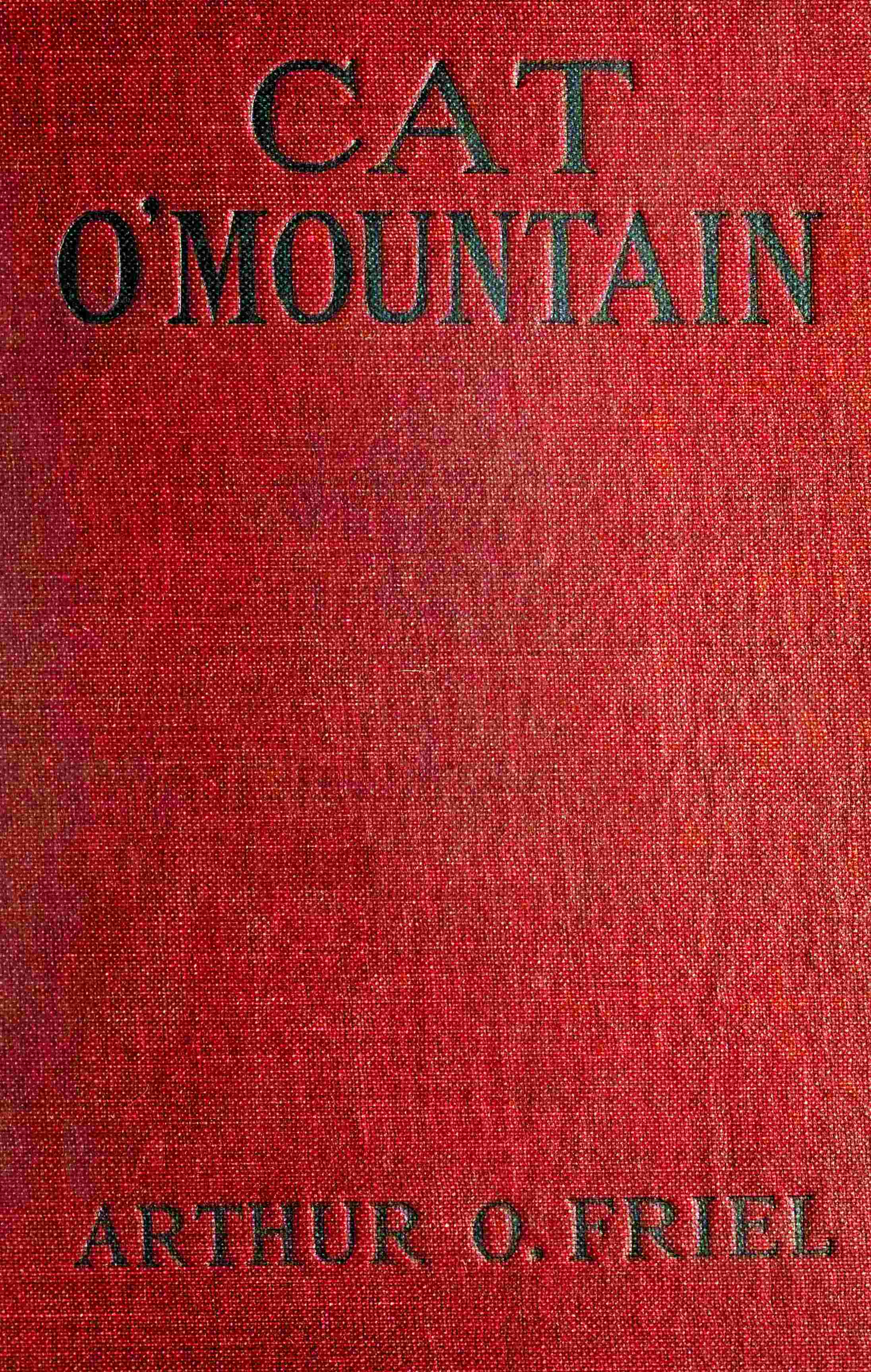 Cat o' mountain cover
