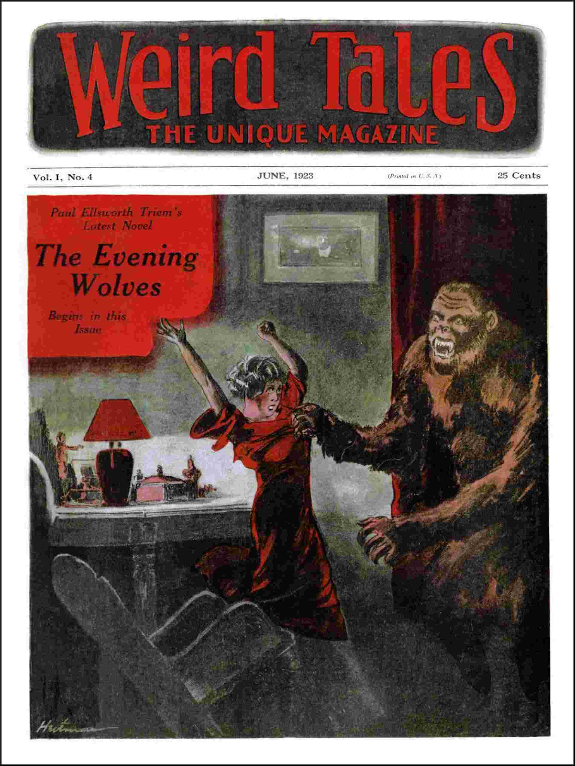 The voice in the fog cover