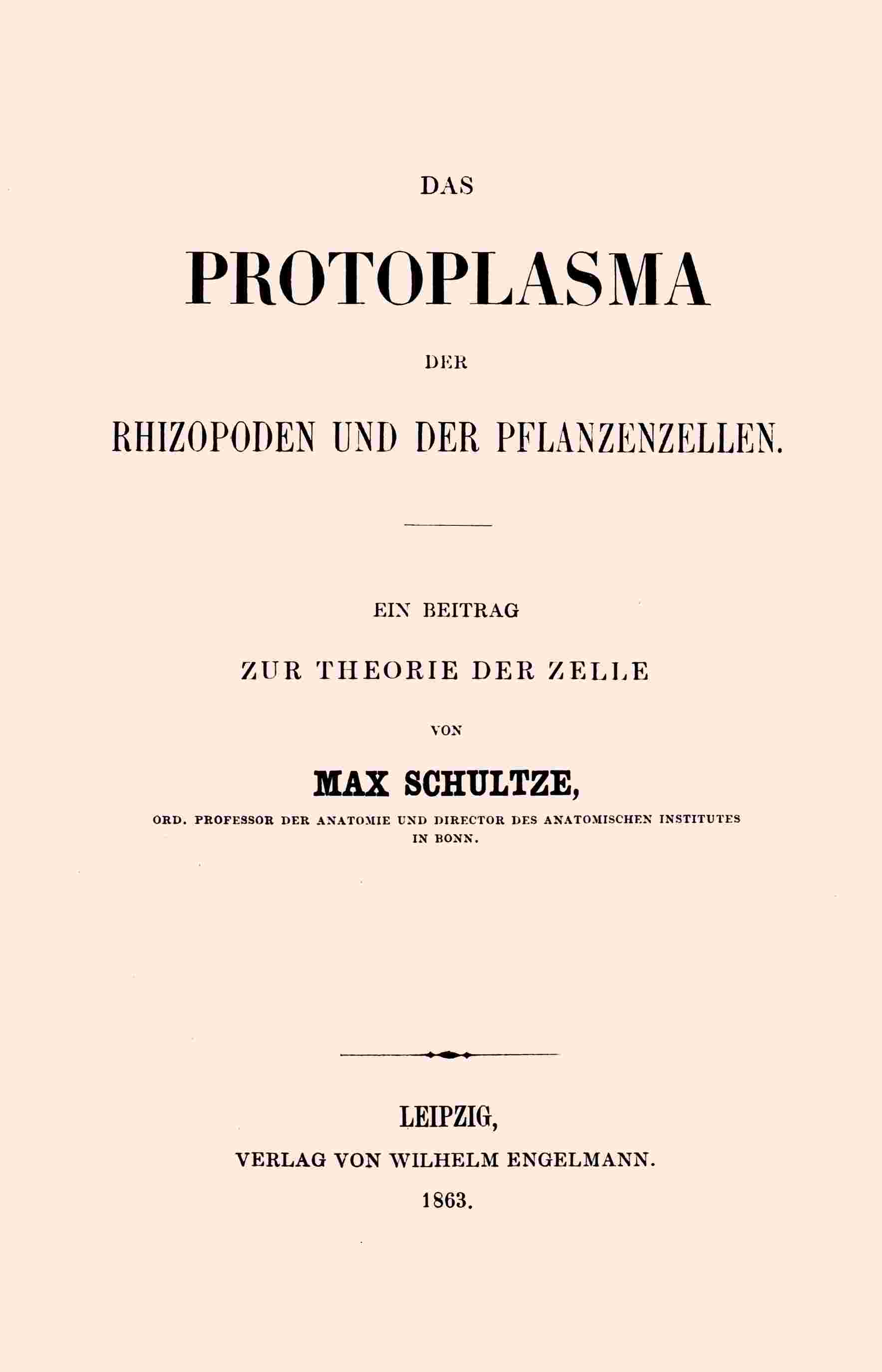 Das Protoplasma der Rhizopoden und der Pflanzenzellen / ein Beitrag zur Theorie der Zelle cover