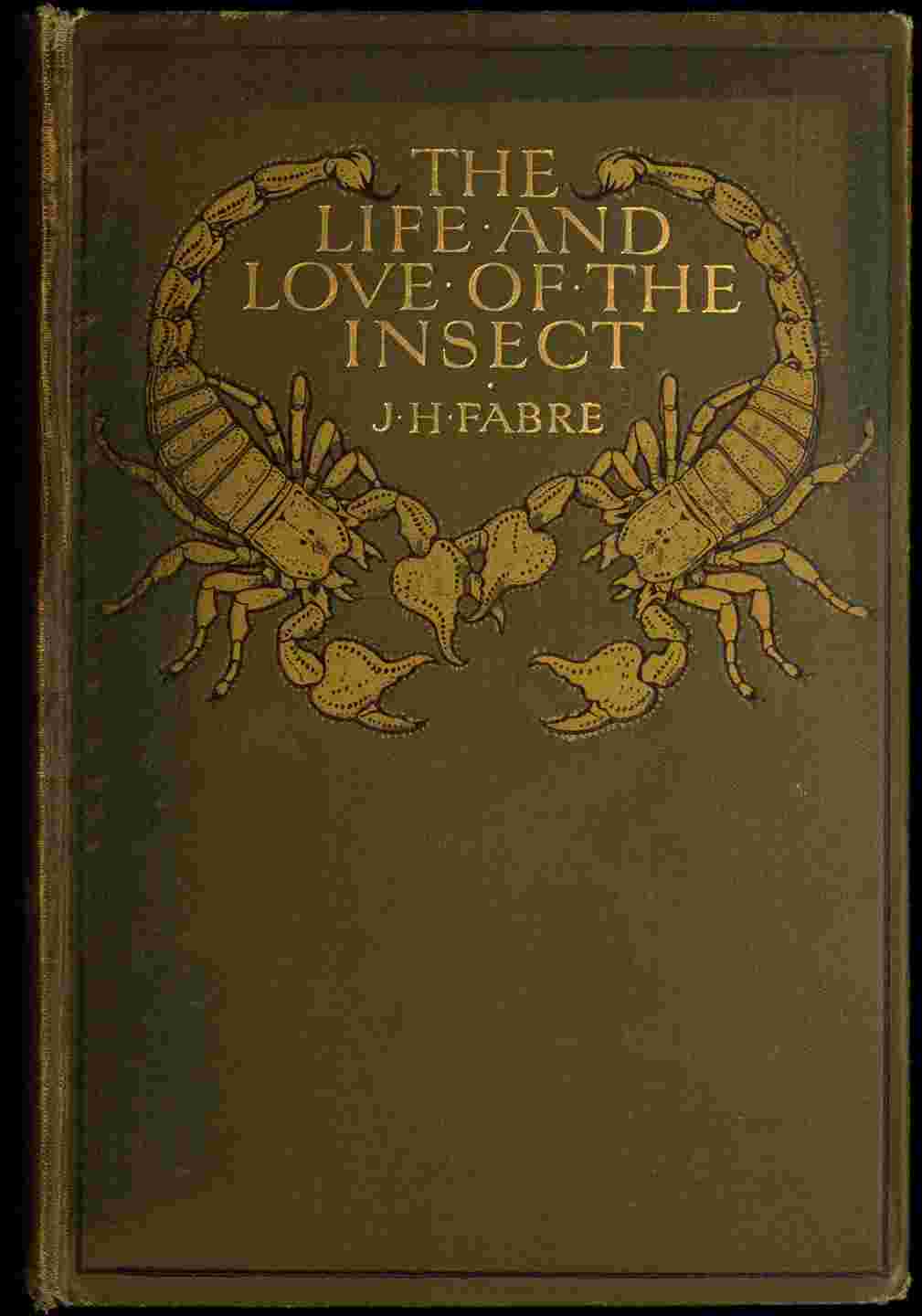 The Life and Love of the Insect cover