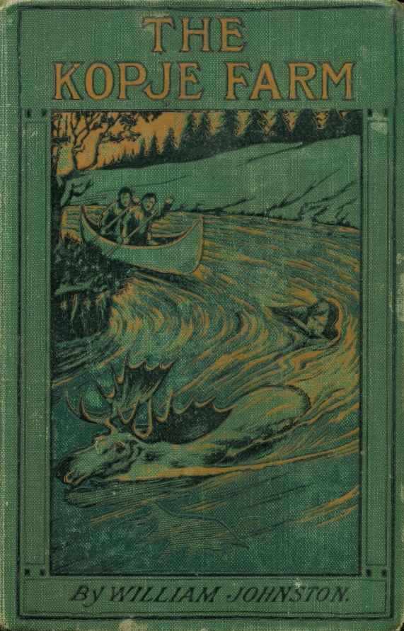 The Kopje Farm cover