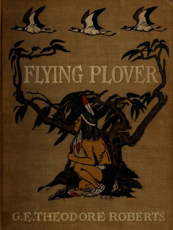 Flying Plover: His stories, told him by Squat-by-the-fire cover