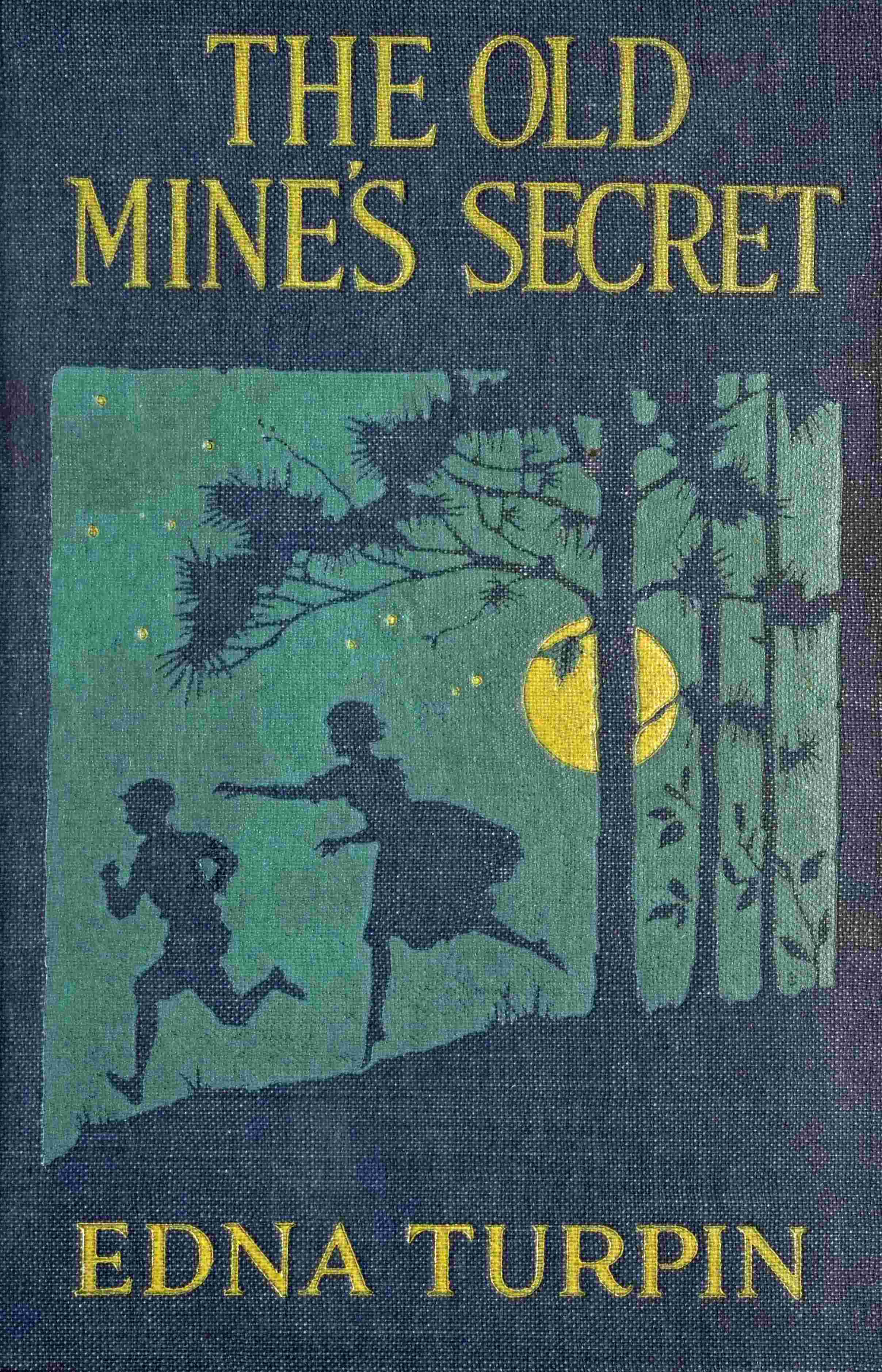The old mine's secret cover